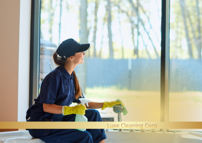 Window, blind and lamp cleaning