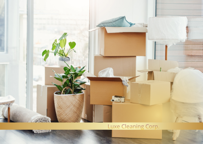 Cleaning moving in moving out