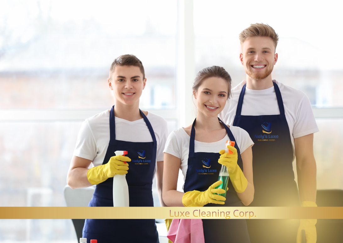 Deep general cleaning and maintenance.